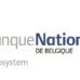 NBB LOGO BIL Haut320px