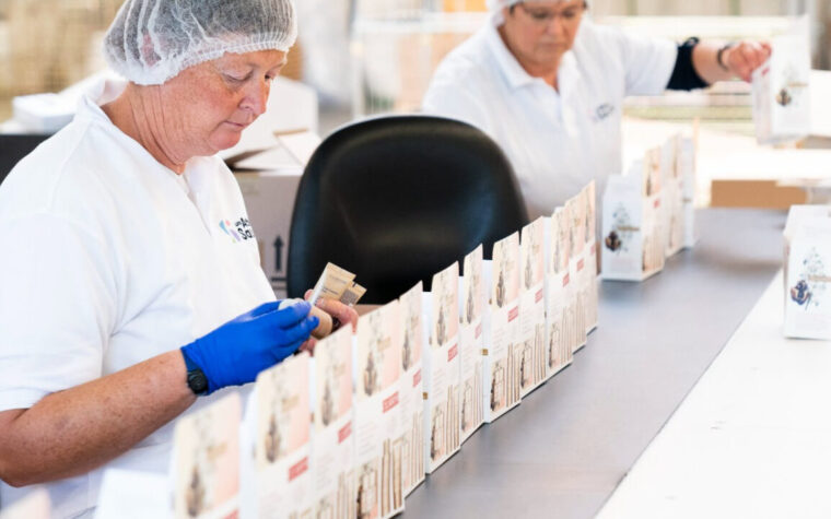 Leconomie sociale un modele economique a decouvrir Lexemple des Ateliers du Saupont cover