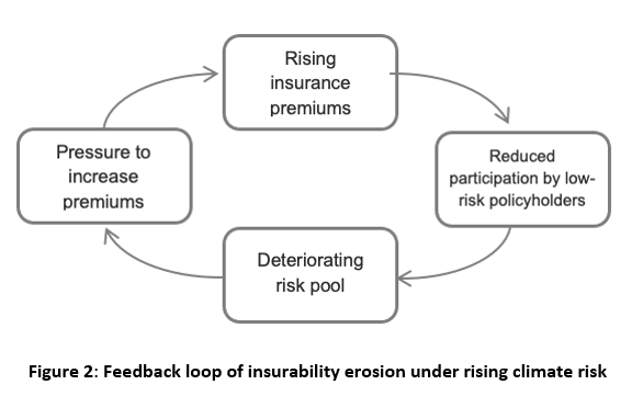 06 BFWD 2025 10 Fig 2