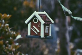 Harper van mourik 0yf W Dw HOB0g unsplash