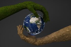 Photo by Bhautik Patel