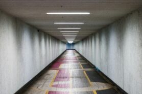 Photo by Fabian Bächli
