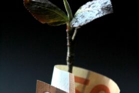 Photo by Anne Nygård