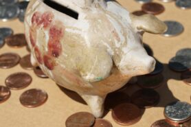 Photo by Diane Helentjaris