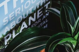 Photo by Jackie Hope