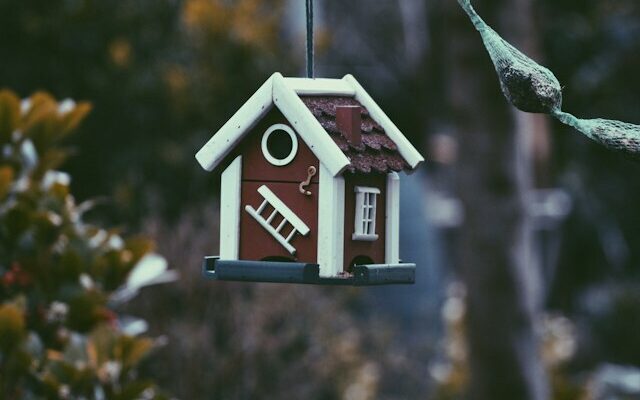 Harper van mourik 0yf W Dw HOB0g unsplash