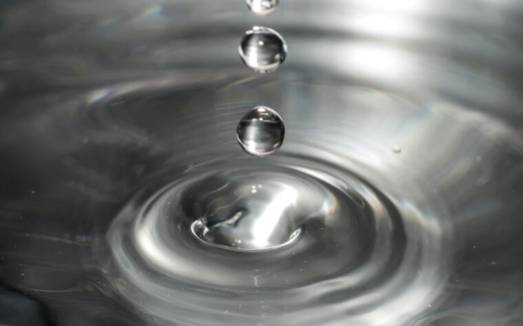 Photo by Sonika Agarwal